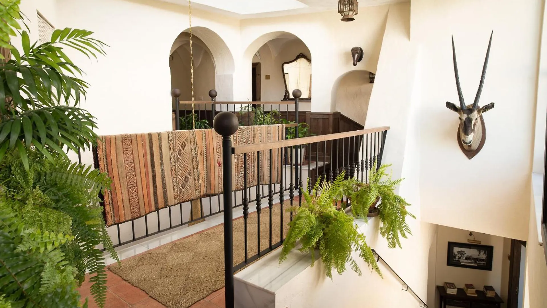 Las Palmeras Del Califa Vejer de la Frontera