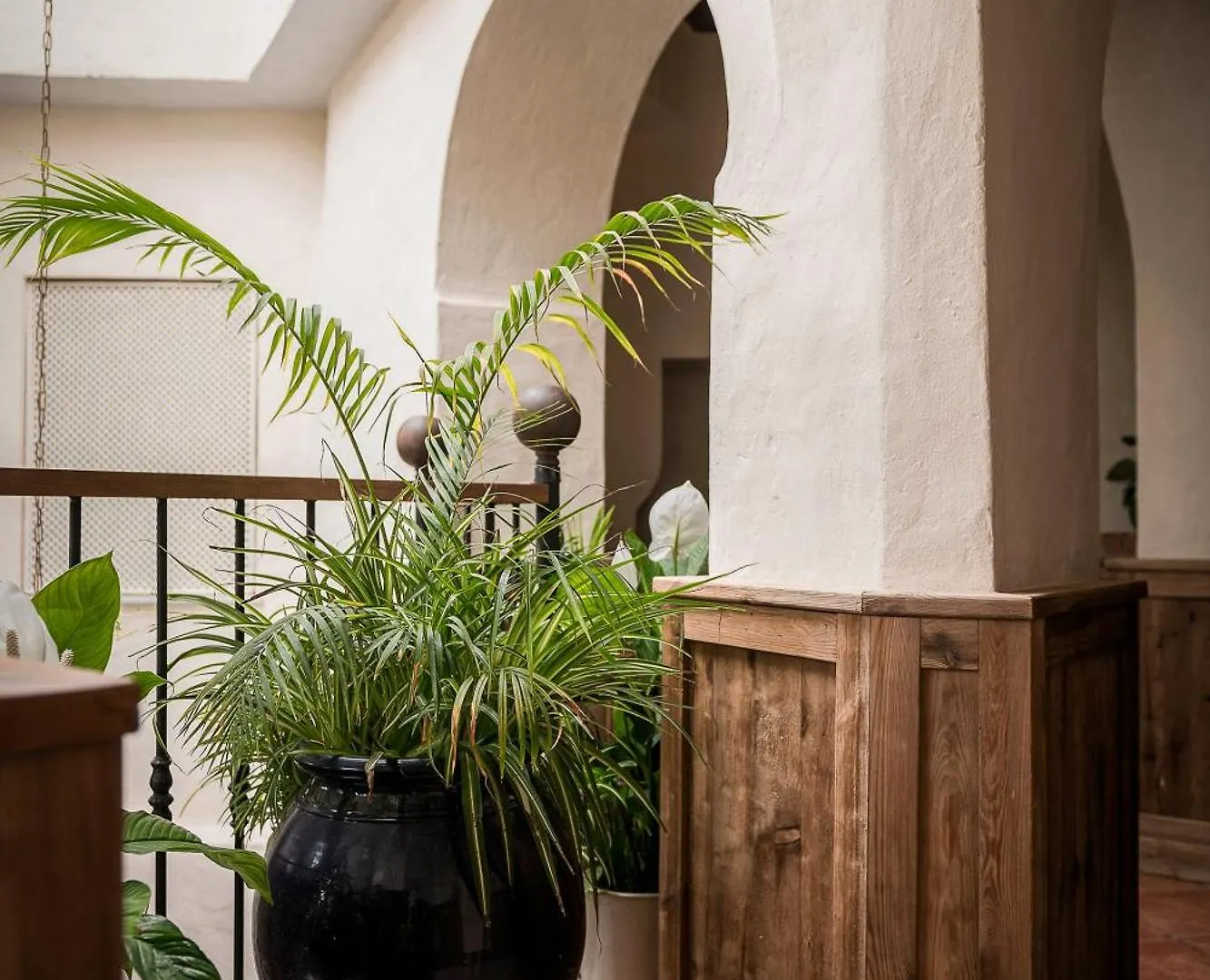 Las Palmeras Del Califa Vejer de la Frontera Spanien