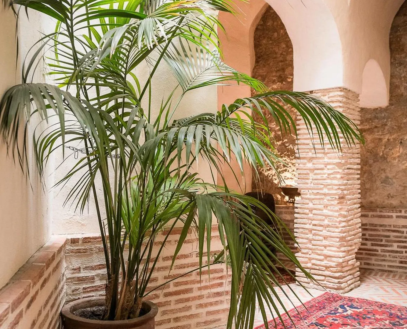 Las Palmeras Del Califa Vejer de la Frontera Lantställe